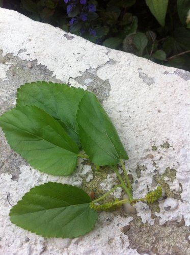photo 2.jpg