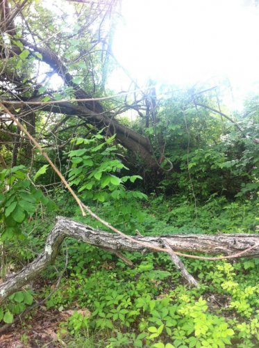 photo 2.jpg