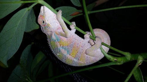 20140524_195618.jpg