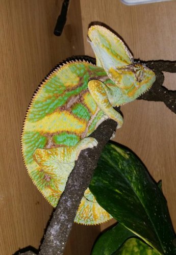 2014-03-13 21.16.42.jpg