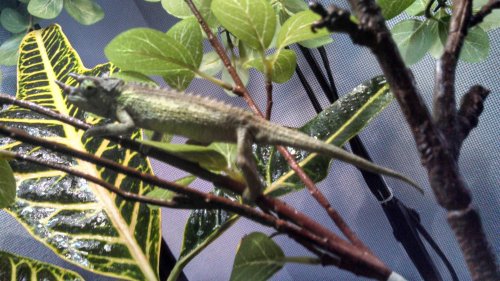 Tricky day 49 (1).jpg