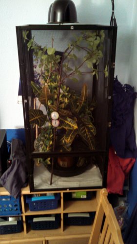 Tricky's set up.jpg