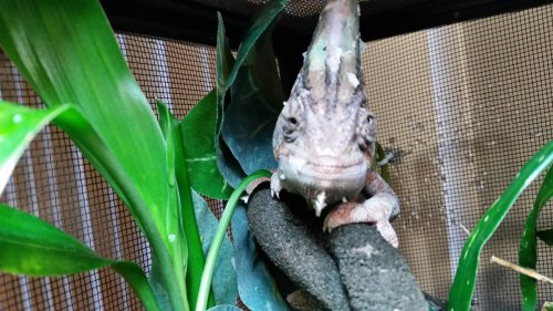 2014-05-30 19.19.16.jpg