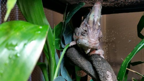 2014-05-30 19.19.55.jpg