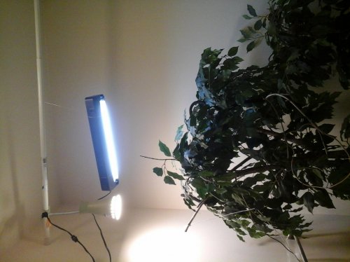 20140528_174505.jpg