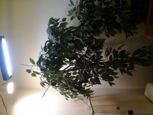 20140528_174515.jpg