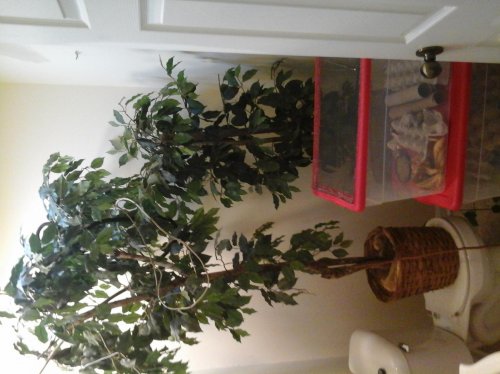 20140528_174538.jpg