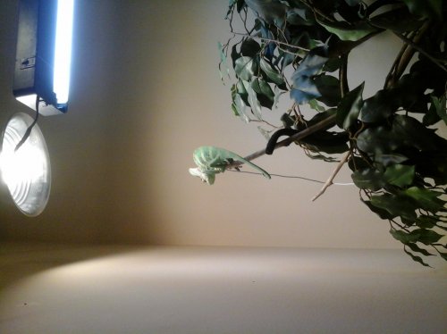20140529_091812.jpg