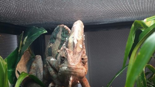 2014-05-31 12.26.05.jpg