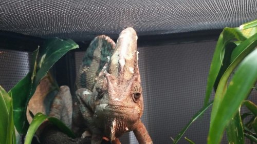 2014-05-31 12.26.52.jpg