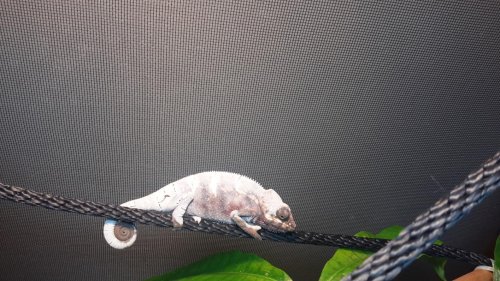 20140531_164234.jpg