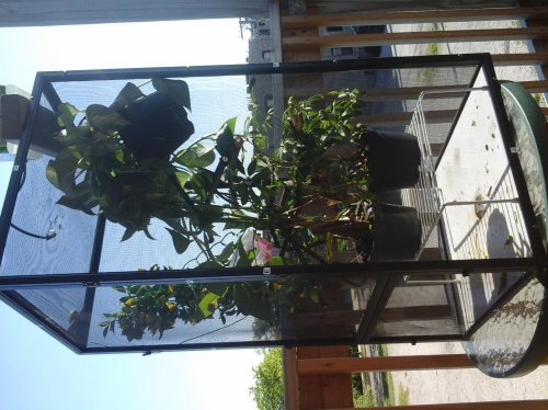 20140531_165553.jpg