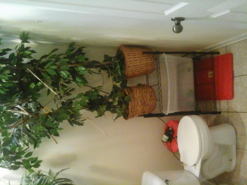 20140603_073611.jpg