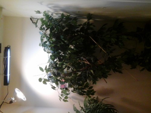 20140603_073628.jpg