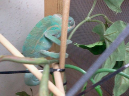 2014-06-03 19.03.27.jpg