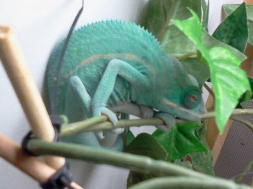 2014-06-03 19.04.04.jpg