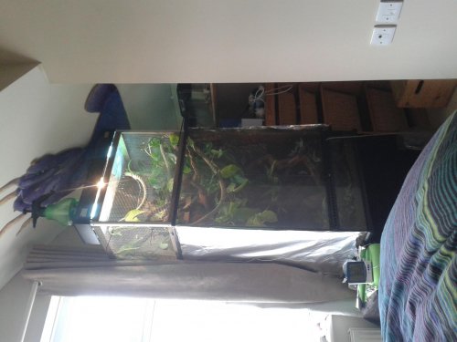 20140602_154329.jpg