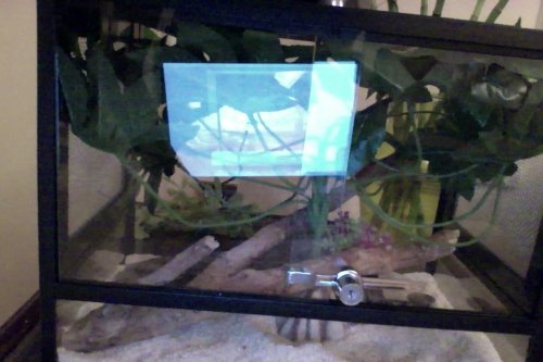 Photo on 10-06-2014 at 02.52.jpg