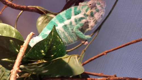20140616_150443.jpg