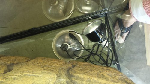 20140617_163413[1].jpg