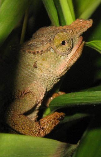 male8.jpg