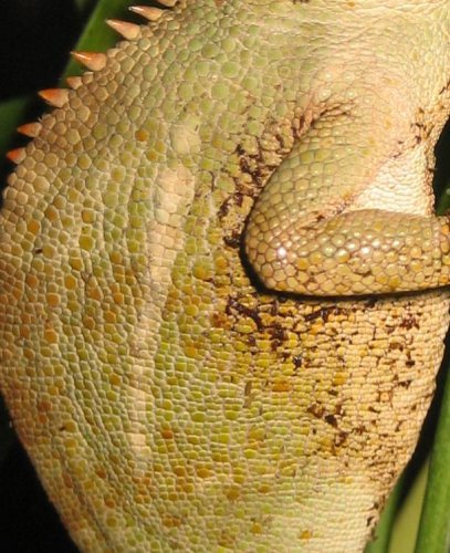 male9.jpg