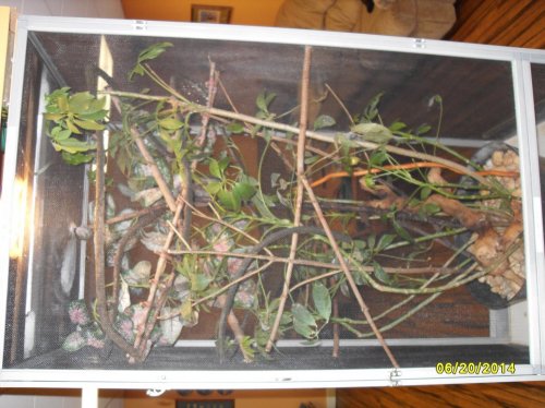 SDC10570.jpg