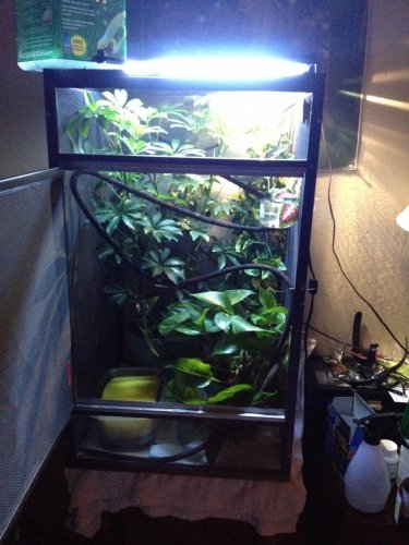 Cage 1.jpg Cage 1.jpg