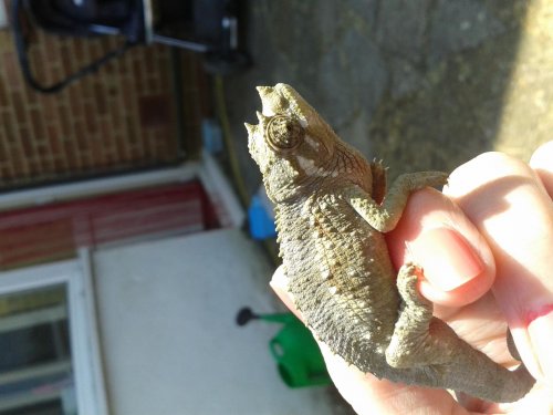 20140621_142712.jpg