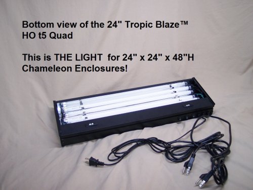 001 24 QUAD1.jpg