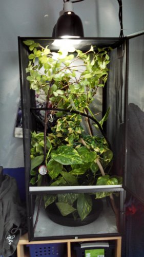 New enclosure.jpg