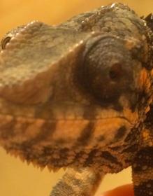 Screen Shot 2014-06-23 at 10.30.10 PM.jpg