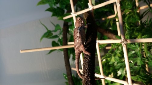 20140625_143557.jpg