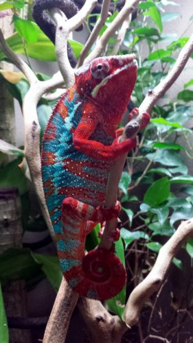 2014-06-14 16.16.13.jpg