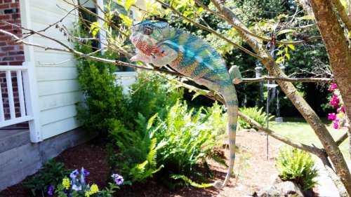 2014-06-02 13.06.25.jpg