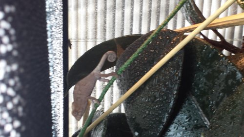 20140626_084529.jpg