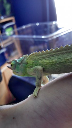 Tricky day 90 (7).jpg