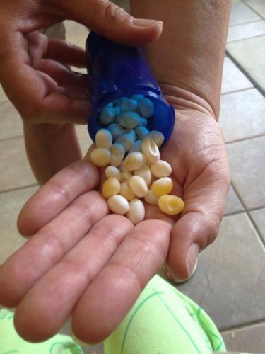 Cham eggs.jpg