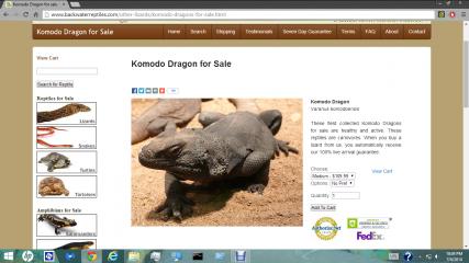 Komodo Dragon For Sale!.jpg