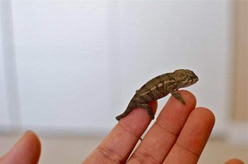 DSC_5633.jpg