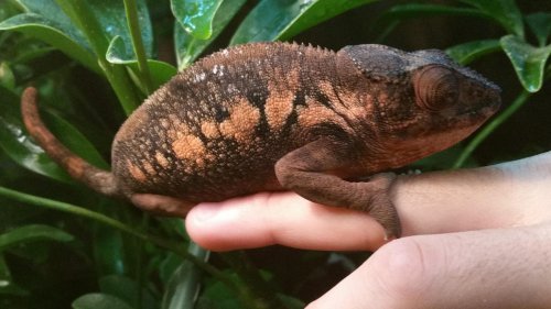 20140709_163243 (1).jpg