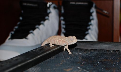 DSC_5659.jpg