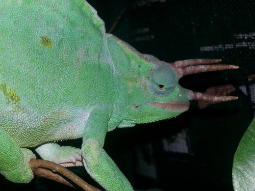 1405033374291.jpg