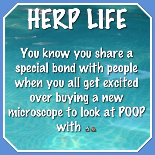 poop pic.jpg