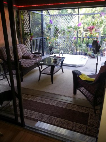 cellphone upload 07.01.2014 - 009.jpg