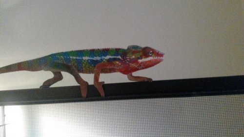 20140707_154346.jpg