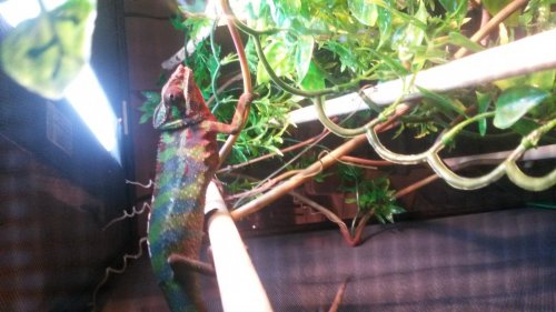 20140707_091409.jpg