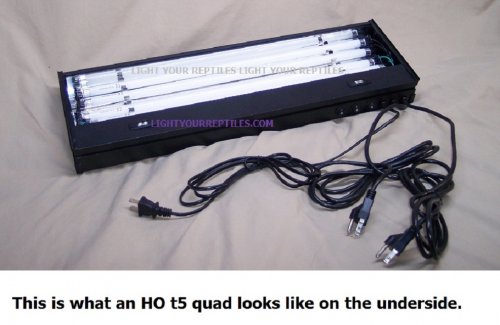 001 24 QUAD b.jpg