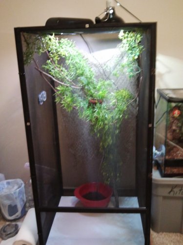 X-large Jewels encloser.jpg