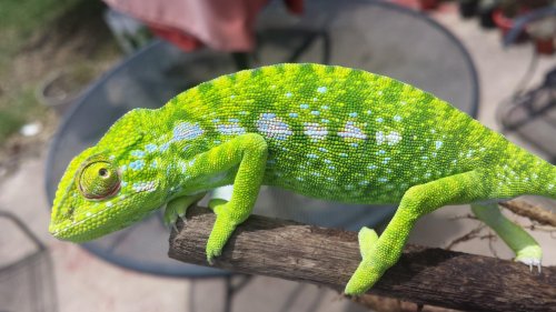 May 13th 2014 124.jpg